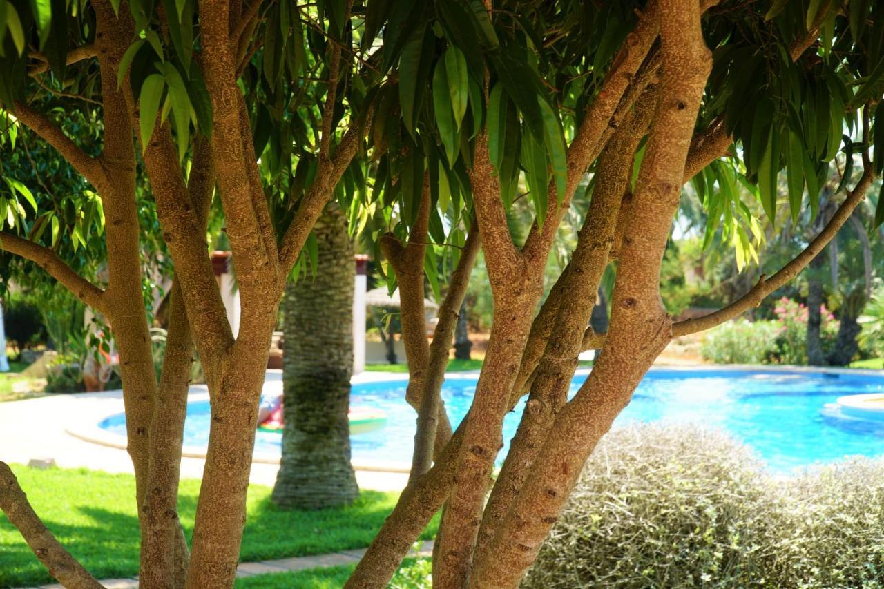 Agroturismo Finca Sa Tanca Cala D´Or Екстериор снимка