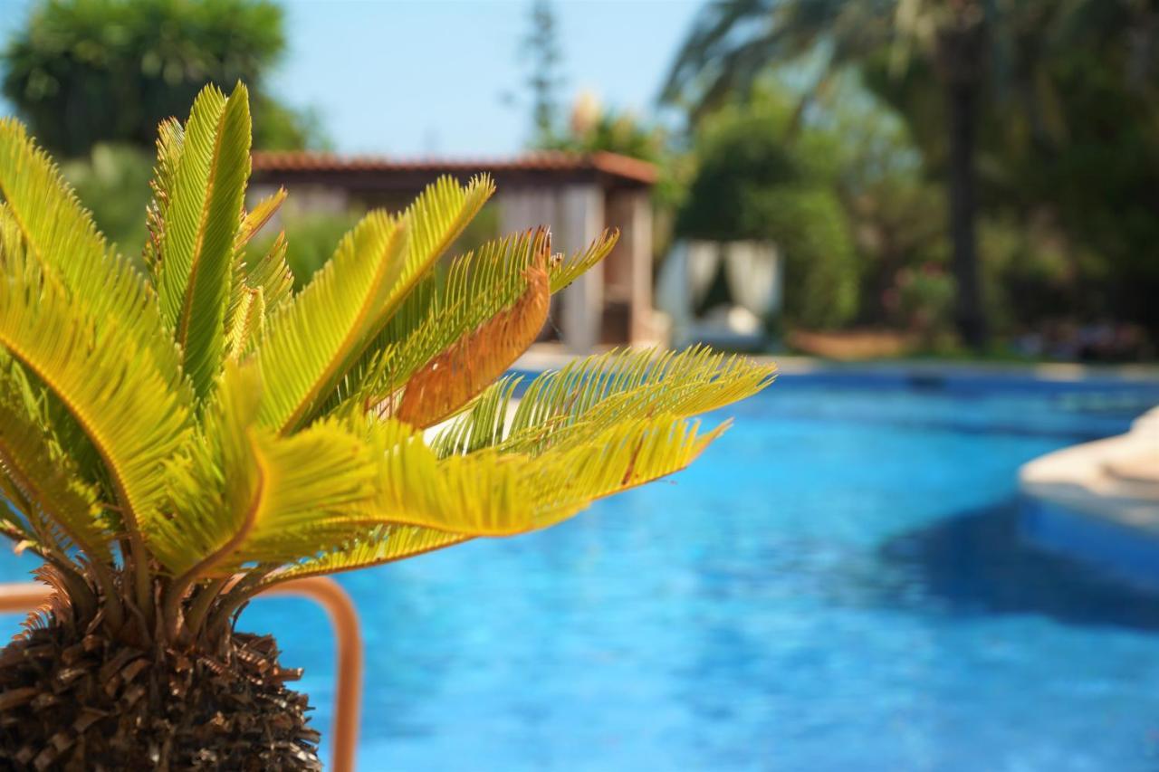 Agroturismo Finca Sa Tanca Cala D´Or Екстериор снимка