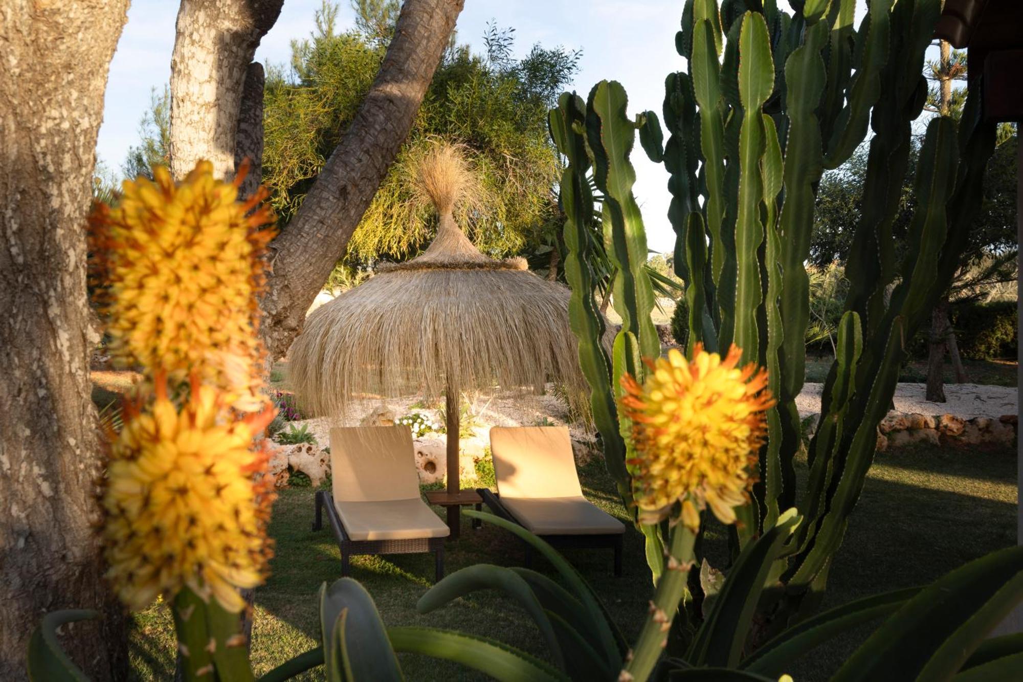 Agroturismo Finca Sa Tanca Cala D´Or Екстериор снимка