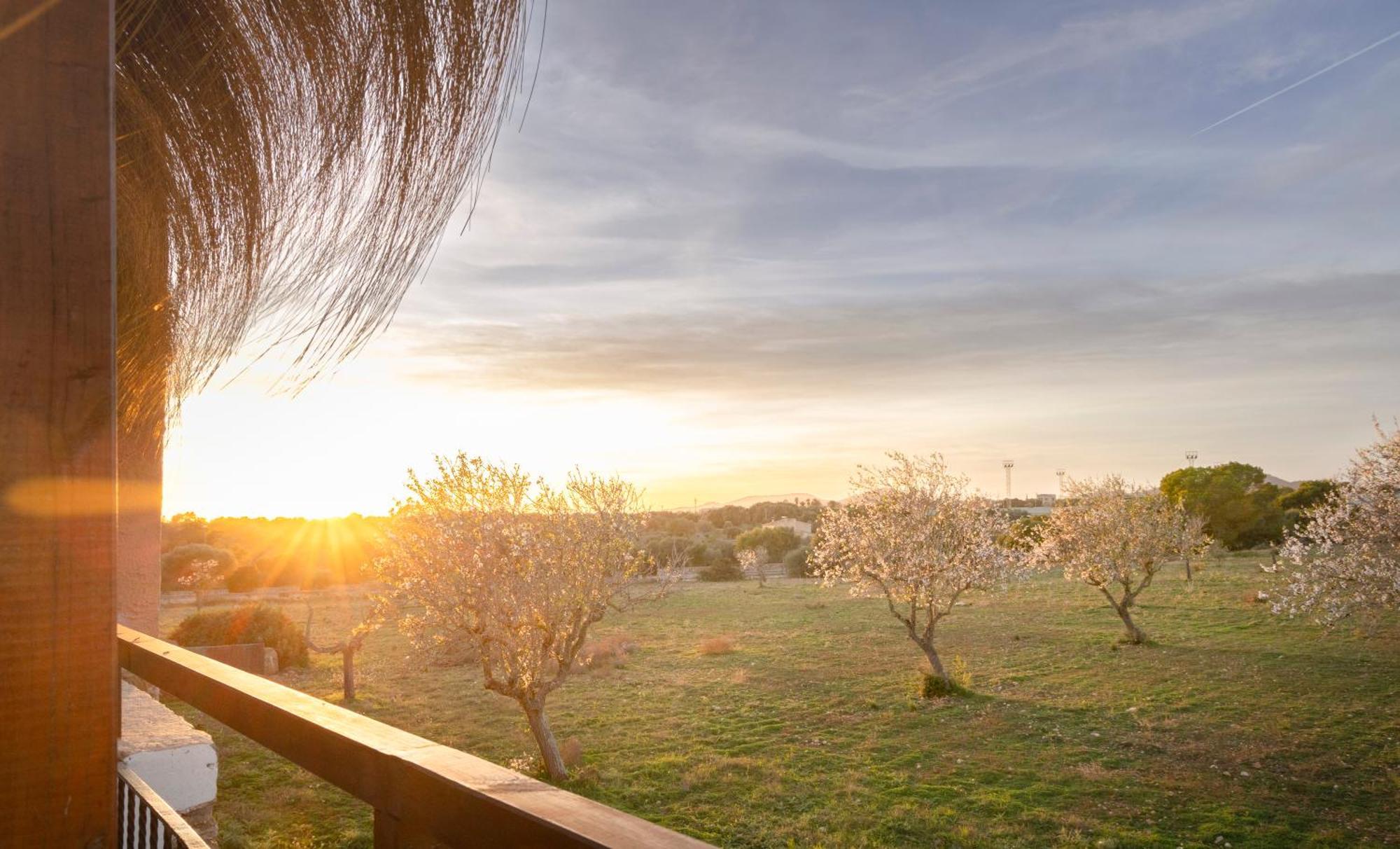 Agroturismo Finca Sa Tanca Cala D´Or Екстериор снимка