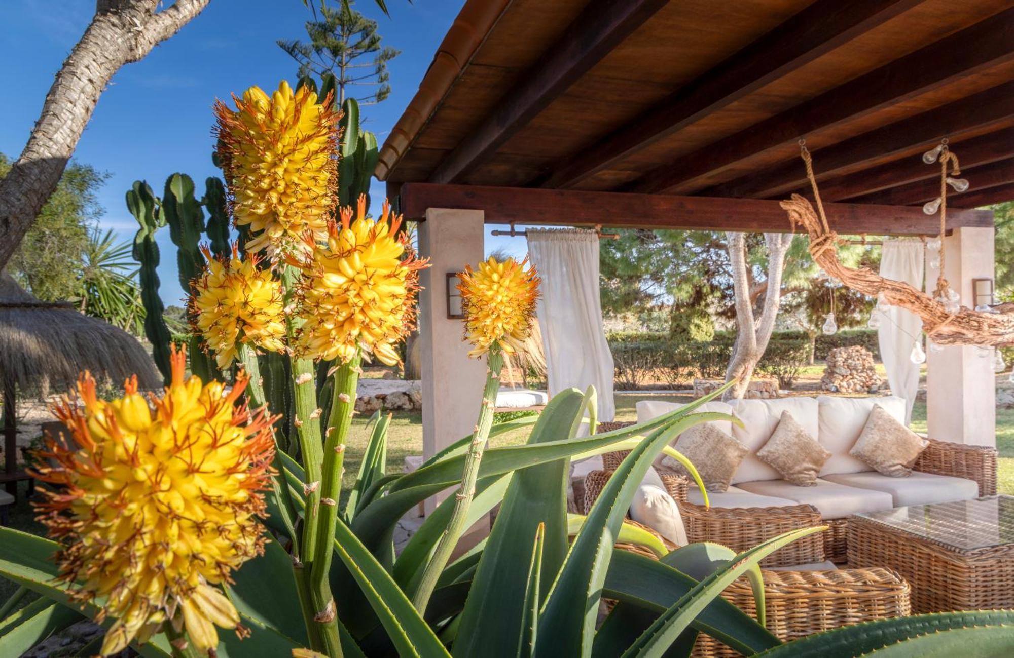 Agroturismo Finca Sa Tanca Cala D´Or Екстериор снимка